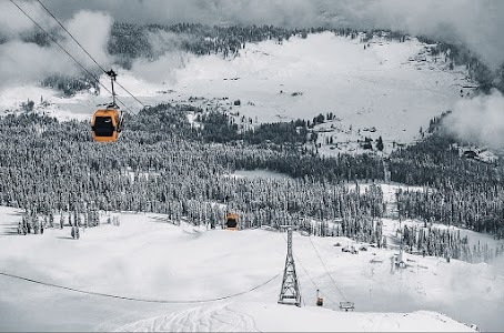 Snow Skiing In Gulmarg