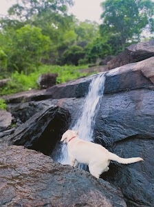 Pananchery