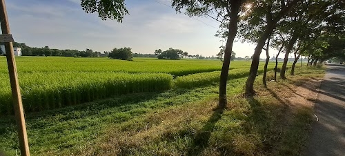 Khejurhati