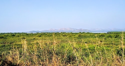 Kasarali