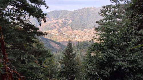 Karnala