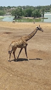 Safari World