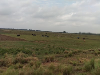 Kathrahi