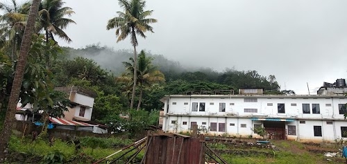 Palackal Lodge