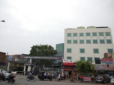 Delhi Heart Institute & Multispeciality Hospital