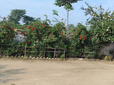 Maghiya pokhara