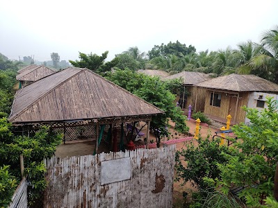 DNK ORGENIC FARM
