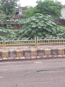 Bilaspur Gate