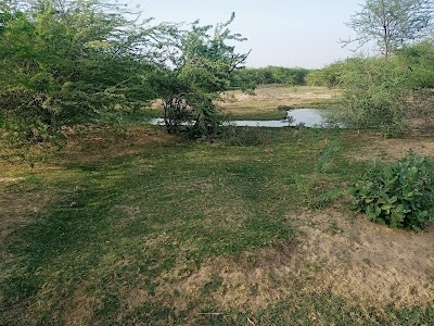 Morel river