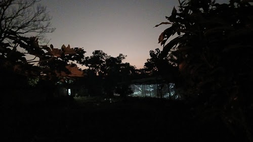 Pappu farm (sahu poultry)