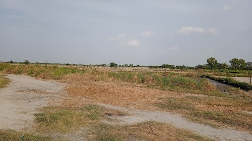 Karauli