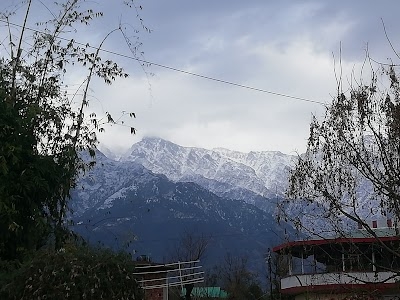 Sanora