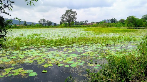 Khamhi