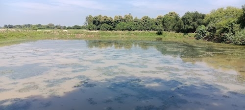 Kheshan