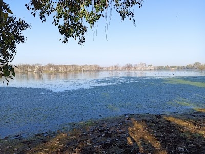 Chawandiya