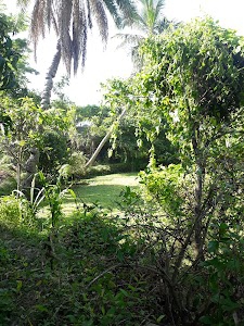 Debipur Gurguria