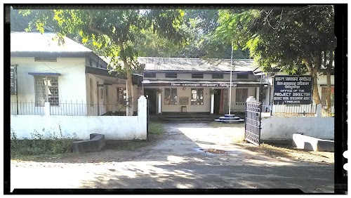 DRDA