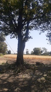 Khokariya