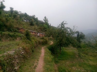 Naithana