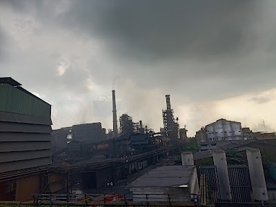 Vandana Global Limited