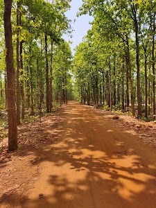Koch Kunda
