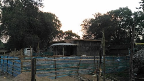 Namelguda Ganga Sir House