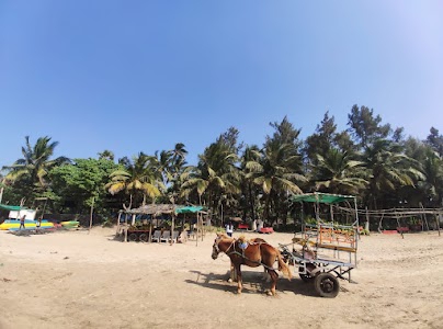 Kihim Beach Alibag