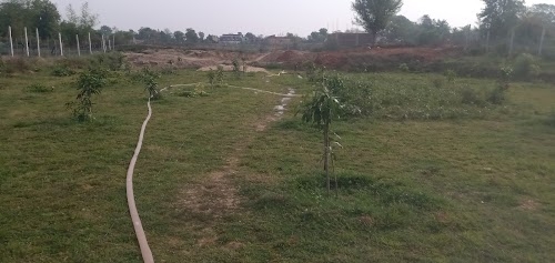 Nature’s Oasis garden