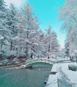 Kokernag Spring