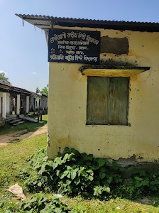 Hatiali Rastriya Hindi Vidyalaya
