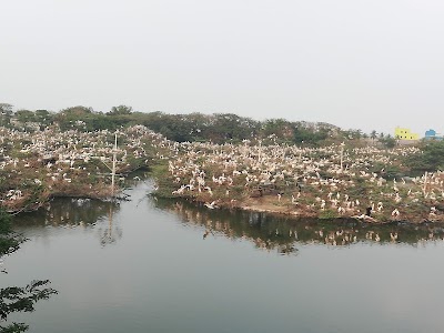 Uppalapadu Birds Protection Centre