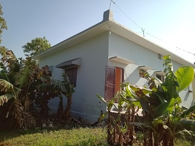Home