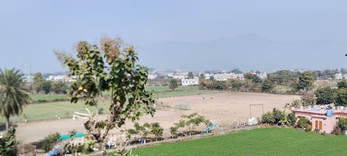 AVN Public School