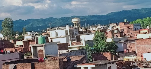 Maharshi Vidya Mandir