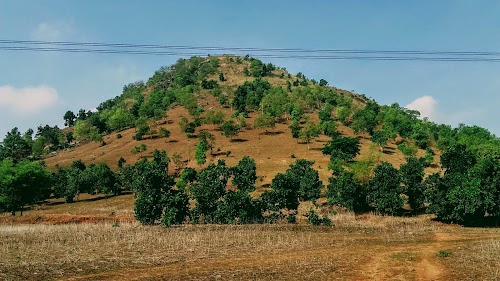 Bodma