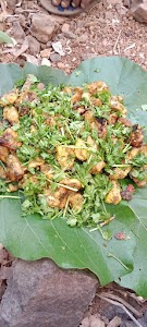 Andharpada