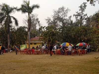 Joyland Park