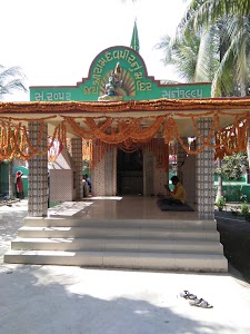 Paneli