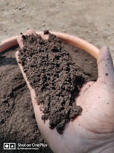 Nisarg Organic Biotech