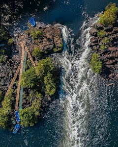 Dandeli