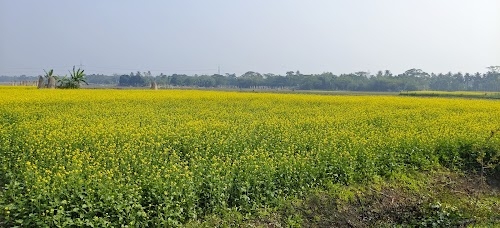 Jibanpur
