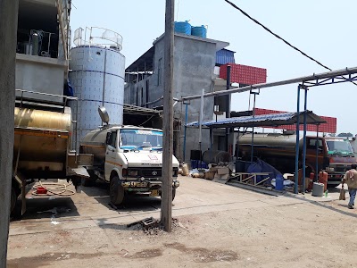 Cold Roll Ice Cream Factory