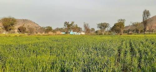 Girwas