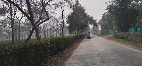 Mathura Tea Garden