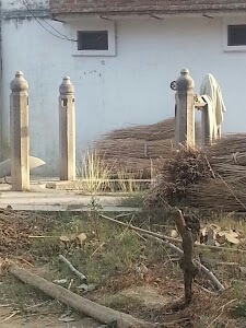 Sambhuchak
