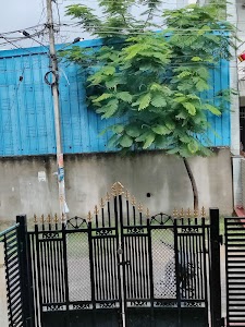Karauli house