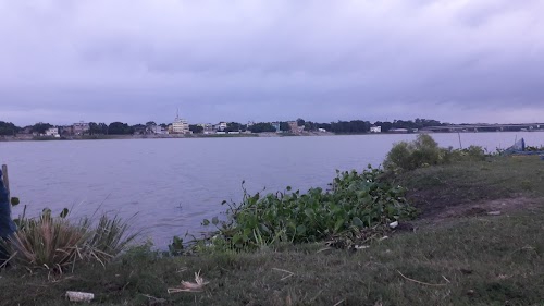 American Million View Garden