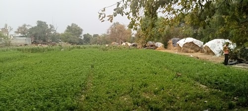 Shiv Mandir
