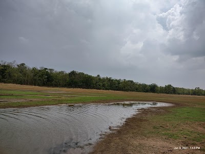 Sindewahi