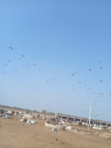 Pahari